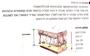 מכשירי אנטי אייג'ינג - שכבות העור