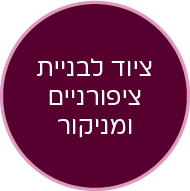 כפתור ציוד לפדיקור