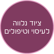 כפתור ציוד נלווה